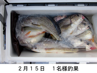 来温丸（らいおんまる） 釣果
