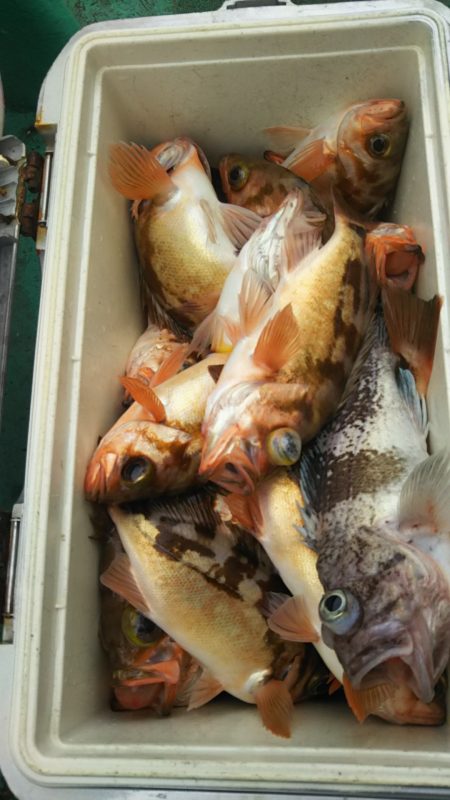 モンロー号 釣果