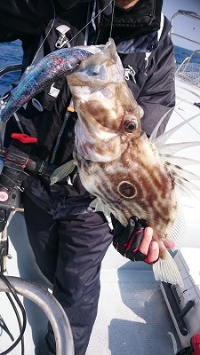 海龍丸(福岡) 釣果