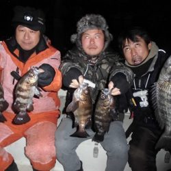 ルアー船マヒマヒ 釣果