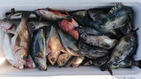 オーフリー 釣果