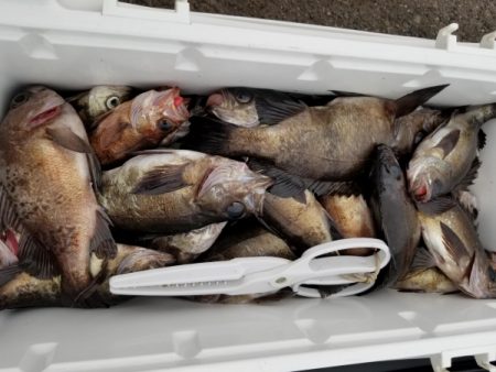 オーフリー 釣果