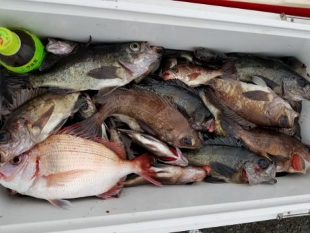 オーフリー 釣果