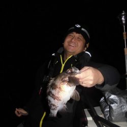 ルアー船マヒマヒ 釣果