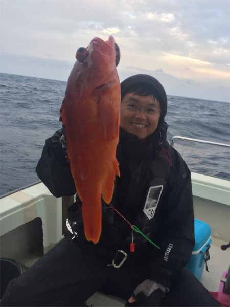 マタウマリンサービス 釣果