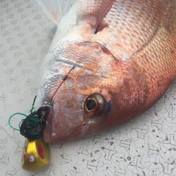 マタウマリンサービス 釣果