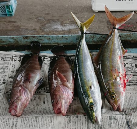 明神釣船 釣果
