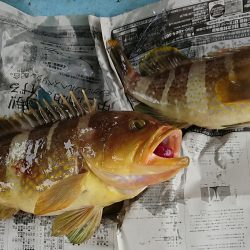 明神釣船 釣果