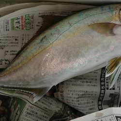明神釣船 釣果
