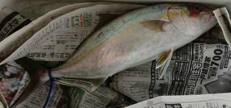 明神釣船 釣果