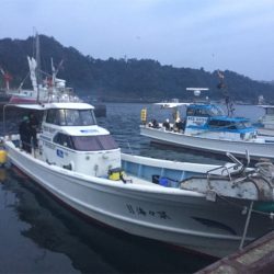 マタウマリンサービス 釣果