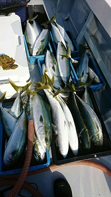 海龍丸（福岡） 釣果