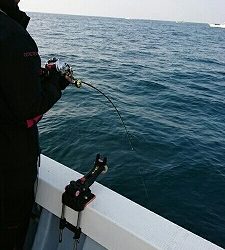 海龍丸（福岡） 釣果