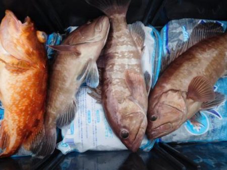 第二一之紀丸(ダイニイチノキマル) 釣果