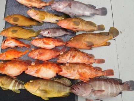 第二一之紀丸(ダイニイチノキマル) 釣果