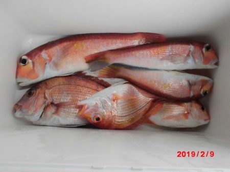 大進丸（新潟） 釣果