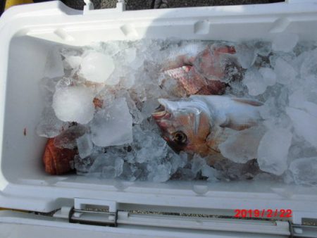 大進丸(新潟) 釣果