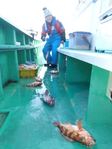 第二むつ漁丸 釣果