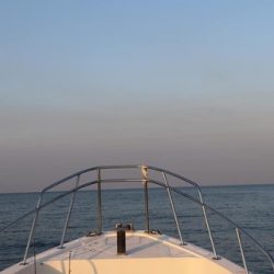 スカイマリン 釣果