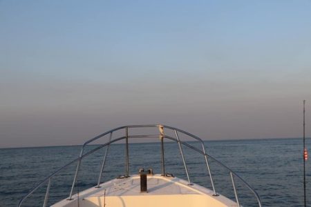 スカイマリン 釣果