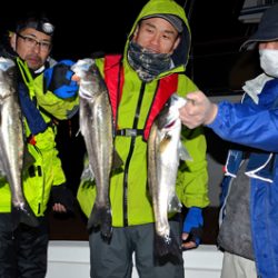 Marine T Design マリンティーデザイン 釣果