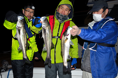 Marine T Design　マリンティ…