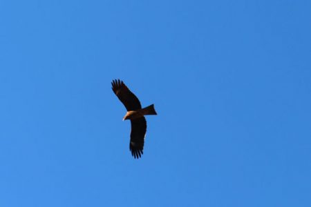 小菅トラウトガーデン 釣果