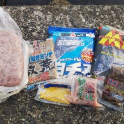 寒チヌを求めて