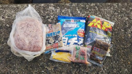 寒チヌを求めて