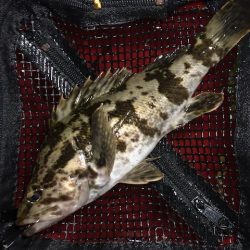 二見メバリング3