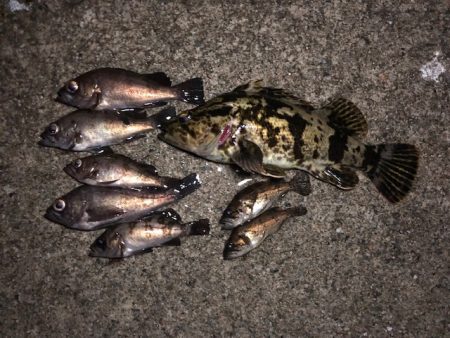 二見メバリング3