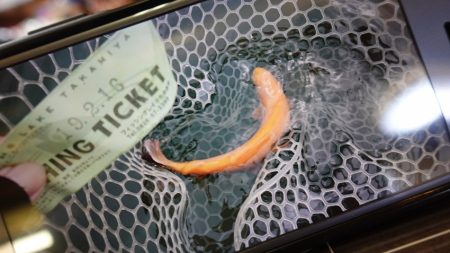 フィッシングレイクたかみや 釣果