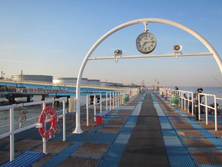オリジナルメーカー海づり公園(市原市海づり施設) 釣果