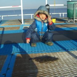 オリジナルメーカー海づり公園(市原市海づり施設) 釣果