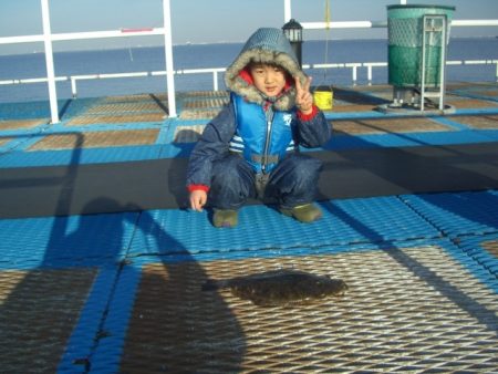 オリジナルメーカー海づり公園(市原市海づり施設) 釣果