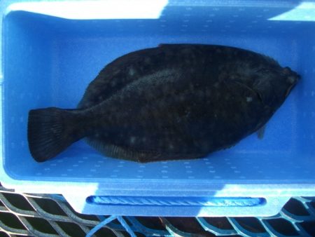 オリジナルメーカー海づり公園(市原市海づり…