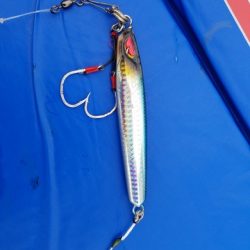 遊漁船 ニライカナイ 釣果