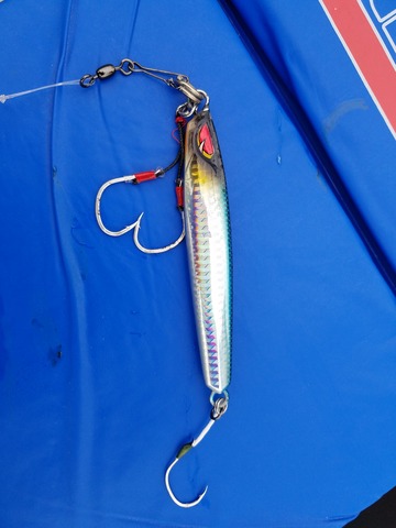 遊漁船 ニライカナイ 釣果