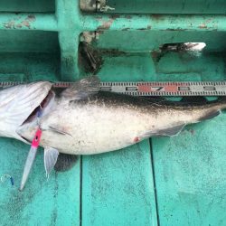 広進丸 釣果