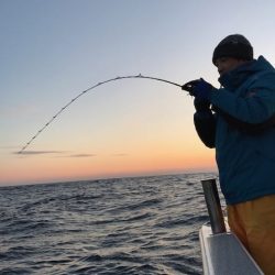 へいみつ丸 釣果