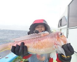 久里浜黒川本家 釣果