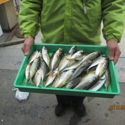 下関フィッシングパーク 釣果