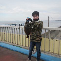 オリジナルメーカー海づり公園(市原市海づり施設) 釣果