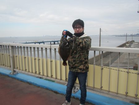 オリジナルメーカー海づり公園(市原市海づり施設) 釣果