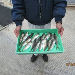 下関フィッシングパーク 釣果