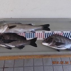 姫路市立遊魚センター 釣果