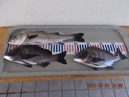 姫路市立遊魚センター 釣果