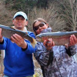 小菅トラウトガーデン 釣果