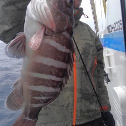 遊漁船 新鋭丸 釣果