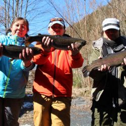 小菅トラウトガーデン 釣果